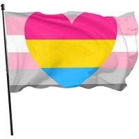 Demigirl Pansexual Demi Girl Pride Flag Home House Garden Yard Decor 3 X 5 Ft Large Huge Flag Party Outdoor Indoor