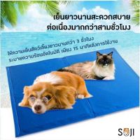 พร้อมส่ง?? Pet Cool mat ที่นอนเจลเย็น แผ่นเจลเย็น แผ่นทำความเย็น ที่นอนสัตว์เลี้ยง เบาะนอนเย็น สำหรับสุนัข และแมว