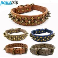 Adjustable Pu Pet Dog Collar Studded Dog Collar for Small Medium Large Dogs Retro French Bulldog Neck Strap Puppy Collar Leashes