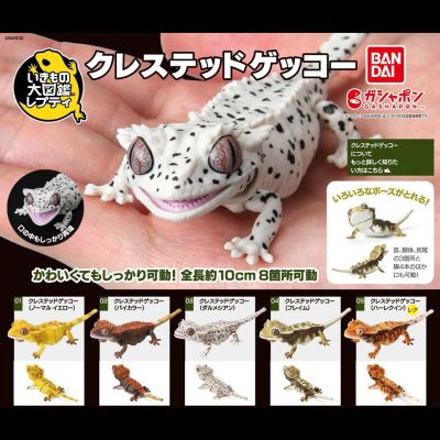 ✔โมเดลอะนิเมะกิ้งก่า Gashapon ขนาด5ชิ้น11ซม. Rhacodactylus Ciliatus