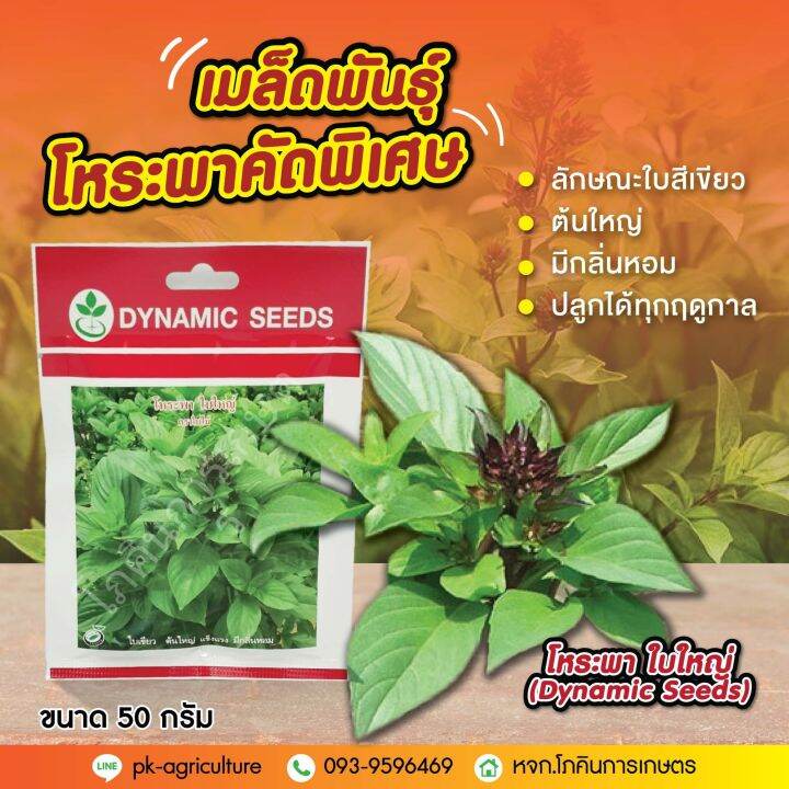 เมล็ดพันธุ์โหระพา-ใบใหญ่-dynamic-seeds-ขนาด-50-กรัม