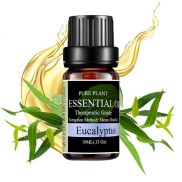 Eucalyptus Citriodora Essential Oil