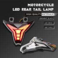 NATIONAL☈สำหรับ Kawasaki Ninja 400 Z400 Z1000 ZX10R ZX6R ZX636รถจักรยานยนต์ด้านหลัง LED ไฟท้ายแบบรวมไฟระบุสัญญาณเปิดไฟเบรก