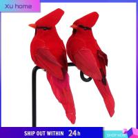 XU HOME 4PCS สีแดงเเดง แบบจำลองนกจำลอง 13เซนติเมตร 4เซนติเมตร 5เซนติเมตร ขนโฟม รูปปั้นนกแก้วเทียม สีสดใสสดใส สไตล์สมจริงสมจริง นกปลอมพร้อมคลิป ในร่มกลางแจ้ง