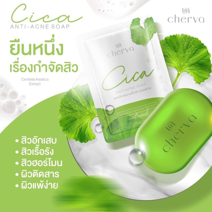 สบู่ล้างหน้าใบบัวบก-cherva-cica-anti-acne-soap-ขนาด-60-กรัม-สูตรบำรุงหน้ากระจ่างใส-ถนอมผิวหน้า-ล้างหน้าสะอาดหมดจด