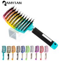 2022 Curved Vented Professional Detangling Hair Brush Women Magic Scalp Massage Hair Brush Wet Curly haircomb Hairdressing Tools