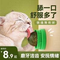 ✷ Catnip Self-Hi Relieving Boredom Molar Stick Teasing Artifact Bite Resistant Supplies