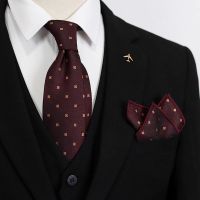 High-end ZARAˉ Vintage Dark Red Wedding Tie Mens Formal Business Groom Groomsman Wedding Tie Pocket Square Chest Scarf Set