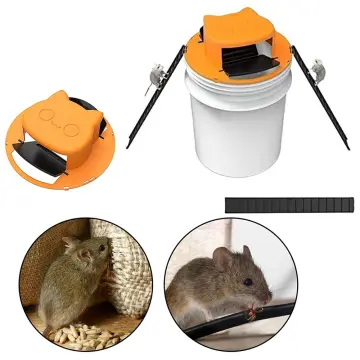 Plank Mouse Trap, Easy To Clean Humane Reusable Humane Bucket Traps  Effective Elastic For Catching Mice 
