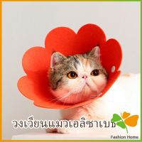 คอลล่าสุนัข คอลล่าแมว ปลอกคอกันเลีย ปลอกคอดอกไม้ Cat coll