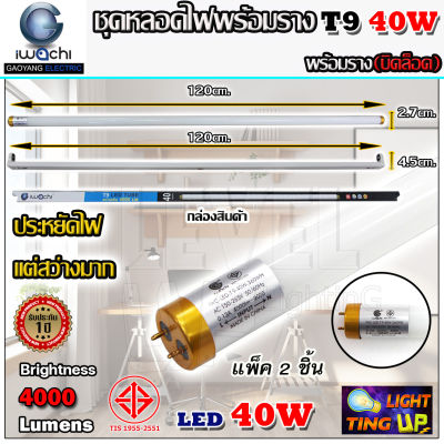 (แพ็ค 2 ชุด)ชุดหลอดไฟนีออนพร้อมราง LED T8 40W ขั้วสีทอง หลอดไฟ led แบบยาว ชุดหลอดไฟ LED พร้อมราง หลอดไฟบ้าน โคมไฟ LED ฟลูเซ็ท LED T8 40 วัตต์ (พร้อมรางบิดขาล็อก)