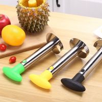 Stainless Steel Pineapple Silcer Peeler Fruit Corer Slicer  Peeler Cutter Fruit Spiral Cutter Kitchen Tools Accessories Graters  Peelers Slicers