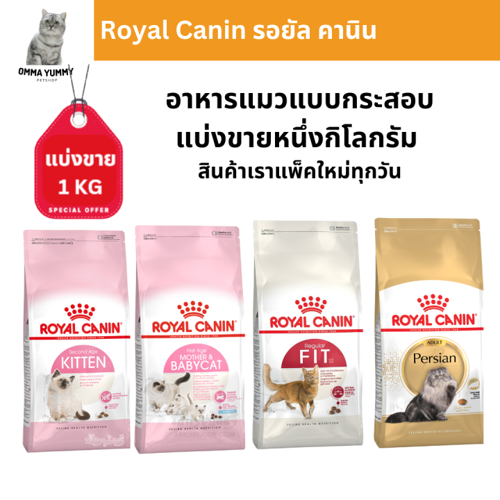 royal-canin-รอยัล-คานิน-อาหารแมว-แบ่งขาย1กิโลกรัม-อาหารแมวพรีเมียม-อาหารแมว-อาหารแมวแบบเม็ด