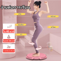 จานทวิตส์ จานหมุนออกกำลังกาย จานหมุนเอวเอส จานหมุนลดพุง จานหมุนเอวเล็ก