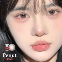 ✨ Penut brown (Lovely lens) ขนาดมินิ Mini ✔️เลนส์จดทะเบียนเป็นเครื่องมือทางแพทย์ ??เลนส์เกาหลีนำเข้าถูกต้อง??