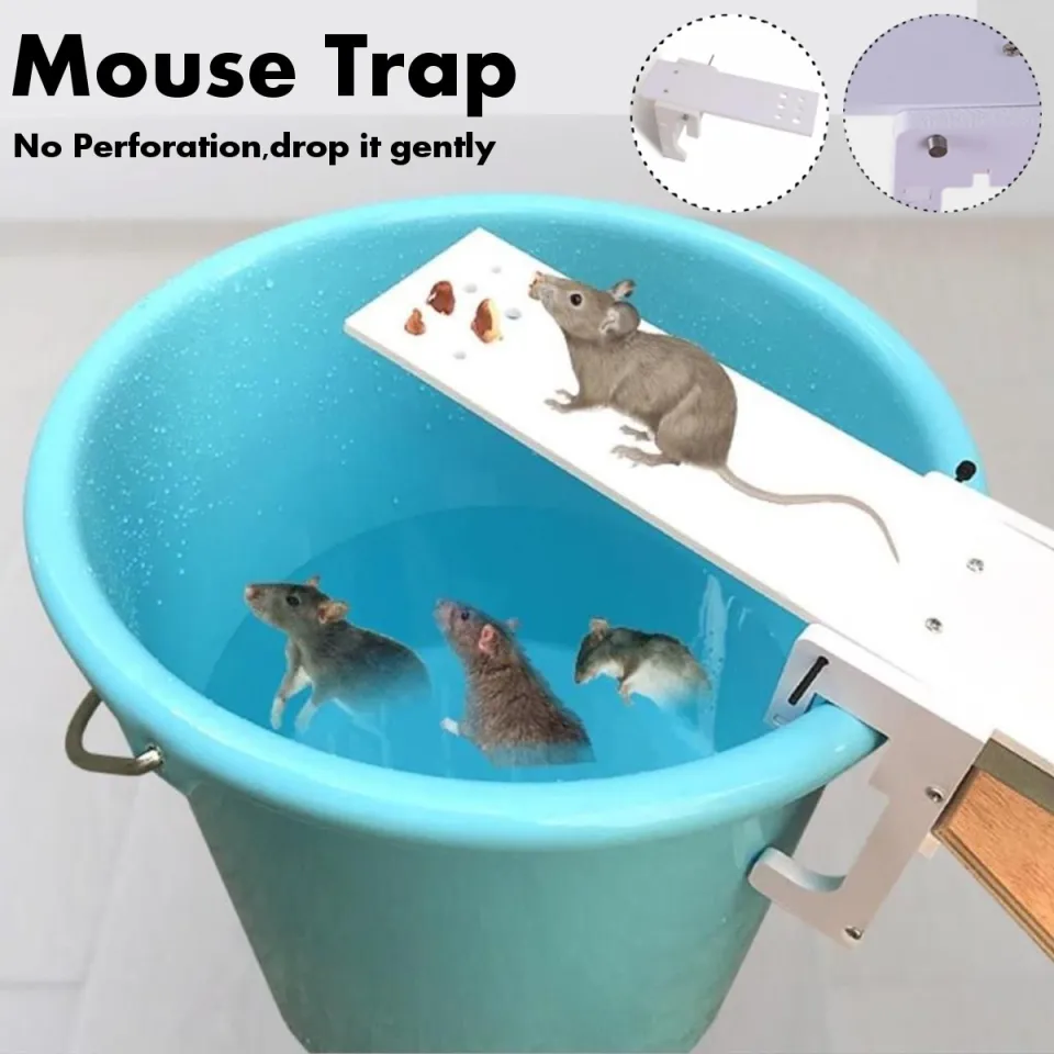 Walk The Plank Bucket Mouse Trap | Flip and Slide | Water-Proof | Durable |  Auto-Reset - Live or Kill