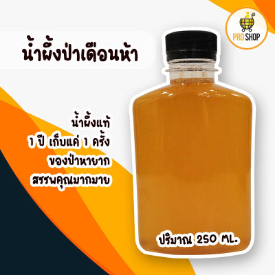 น้ำผึ้งป่า เดือน 5 น้ำผึ้งหลวง คัดพิเศษ ของแท้ 100%🐝🐝 น้ำผึ้ง น้ำผึ้งแท้