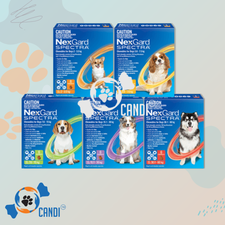 Nexgard Spectra AntiTick & Flea for Dogs Lazada PH