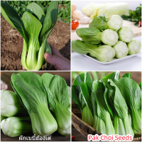 เมล็ดพันธุ์แท้100% อัตราการงอกสูง 200 แคปซูลต่อแพ็ค Pak Choi Seeds Vegetable Seeds เมล็ดพันธุ์ Plants เมล็ด พันธุ์ไม้หายาก เมล็ดพันธุ์ผัก ของแต่งสวน แต่งสวน อัตราการงอกสูง ในสต็อกในประเทศไทย มีคุณค่าทางโภชนาการสูง เก็บเงินปลายทาง COD มีคุณค่าทางโภชนาการสู