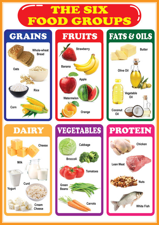Six Food Groups Educational Chart A4 Size Poster Waterproof Print Lazada Ph 6437