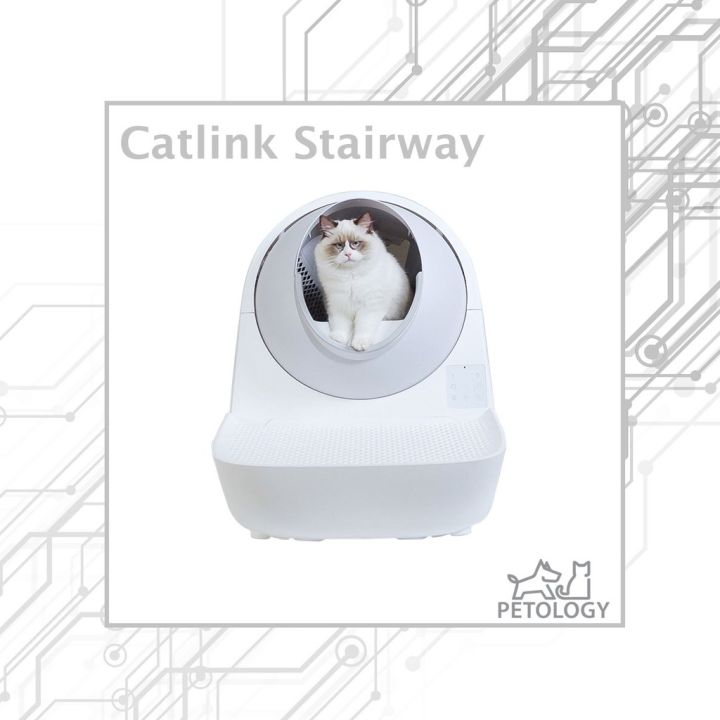 บันไดห้องน้ำแมว-catlink-stairway