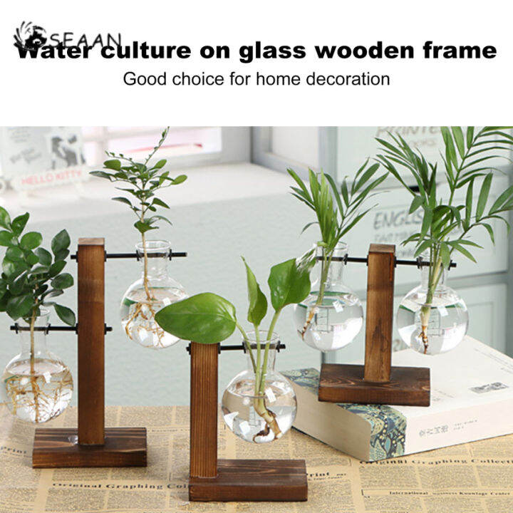 Glass Planter Bulb Vase Desktop Plant Terrarium Kit With Retro Solid