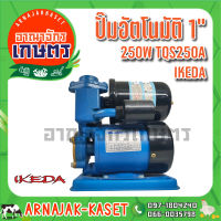 IKEDA ปั๊มอัตโนมัติ 1" 250W รุ่น TQS250A