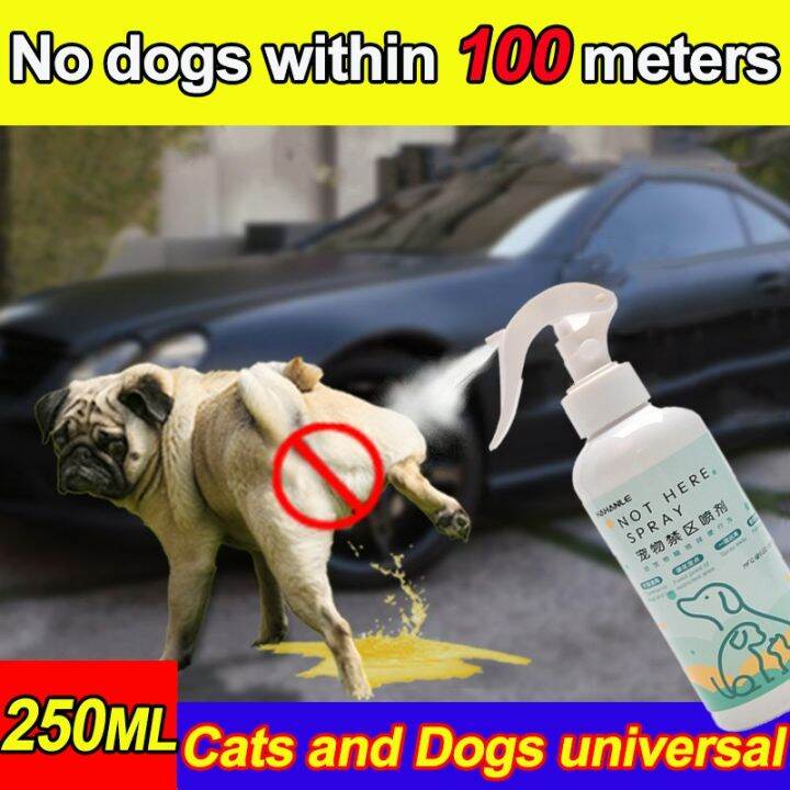 Cat repellent spray 250ML Dog and Cat repellent spray Dog stop biting
