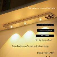 Human Body Induction Light Strip Intelligent Three Light Colors Automatic Induction Oxidation Resistance Type-c Charging Hole Ceiling Lights