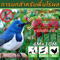 ตาข่ายกันนกพิราบ ยาว 10 เมตร สูง 4 เมตร ป้องกันนกพิราบ ไล่นกพิราบ เอ็นล้อมไก่ ตาข่ายล้อมไก่ ตาข่ายไนลอน เชือกไนลอน Trellis ตาข่ายไนลอนที่ทนทานสำหรับปลูกพืชไม้เลื้อย ตาข่ายปลูกพืชผัก อวนปลูกผัก ตาข่ายอวน เน็ตตาข่ายสี่มุม ตาข่ายสำหรับพืชไม้เลื้อย