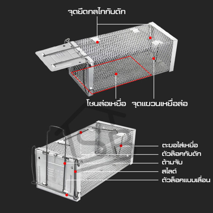 กรงดักหนู-กรงสแตนเลส-แข็งแรง-ทนทาน-กับดักหนู-ที่ดักหนู-กรงหนู-กรงดักหนูแบบสปริง-กลไกทำงานไว-กับดักหนูความไวสูง