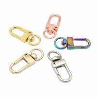 33mm Rainbow Swivel Snap hooks Lanyard Clasp Claw Push Gate Trigger Clasps Strap Purse Clip Key Ring Charm for keychain backpack