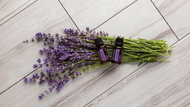 น้ำมันลาเวนเดอร์-lavender-oil-ของแท้-ออแกนิค-น้ำมันหอมระเหย-กลิ่น-ลาเวนเดอร์-หอม-ดอกไม้-กลิ่นผ่อนคลาย