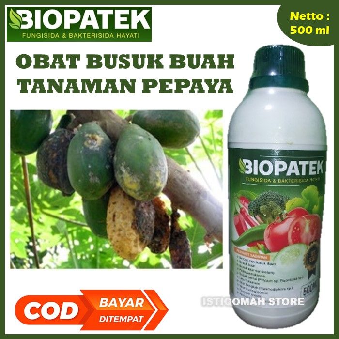 Obat Busuk Buah Pepaya Daun Dan Batang Biopatek 500ml Fungisida Dan Bakterisida Hayati Pupuk 