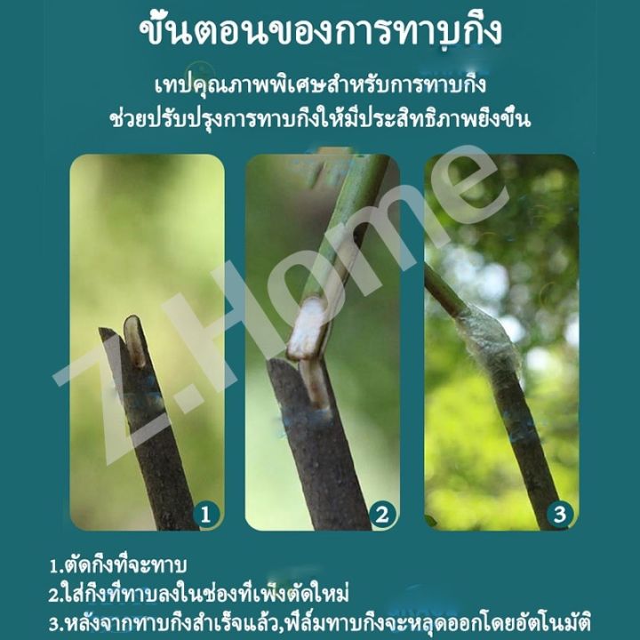 ewyn-120m-เทปพันกิ่งไม้-เทปพันกิ่งทาบ-แลปพลาสติก-อุปกรณ์ตอนกิ่ง-เทปพันกิ่งเสียบยอด-เทปติดตาต้นไม้-เทปใสพันกิ่ง-ผ้าเทปพันกิ่ง