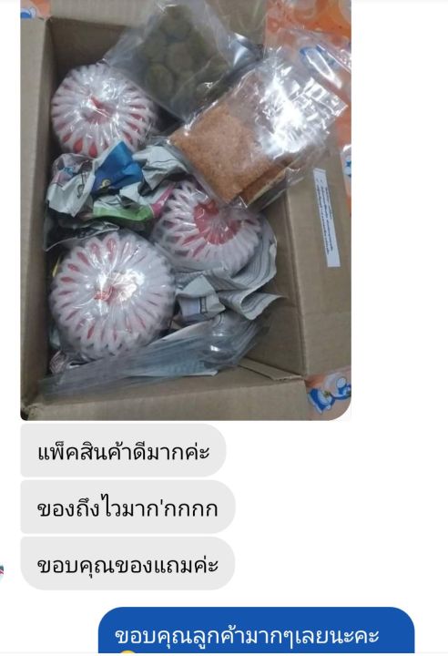 ผลไม้ดอง-มะยมดอง-3รส-บรรจุขวดโหล-500-กรัม-เปรี้ยว-เค็ม-หวาน-กรอบ-แถมฟรี-พริกเกลือ-3-แบบ