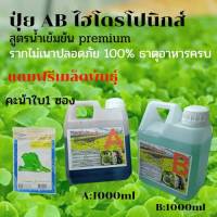 ปุ๋ยน้ำไฮโดรโปนิกส์ ปุ๋ยAB/พลัส ปุ๋ยผักสลัด ปุ๋ยผักHydroponics สูตรเข้มข้น ใช้ได้ทั้งน้ำนิ่งและน้ำวน(แถมฟรีเมล็ดพันธุ์ คะน้าใบ1ซอง)ร้าน ปุ่ยชีวภาพ st1 shop