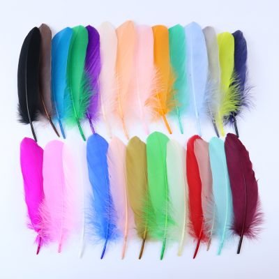 50pcs Dyed feather 15-20CM Diy Handwork Jewelry Decoration feathers for Crafts Wholesale