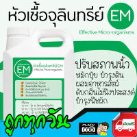 ⭐⭐ส่งฟรี EM หัวเชื้อจุลินทรีย์ สูตรเข้มข้น (Effective Microorganisms) ขนาดบรรจุ 1000cc ใช้ปรับสภาพน้ำ, ดับกลิ่นไม่พึงประสงค์, ผสมปุ๋ยหมัก, ดับกลิ่นปุ๋ยคอก, บำรุงพืชผัก, ใช้ทำ EM Ball ได้