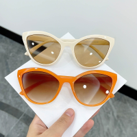 Women Popular Fashion Small Cat Eye Frame Sunglasses Woman Vintage Female Classic Plastic Glasses Male Eyewear