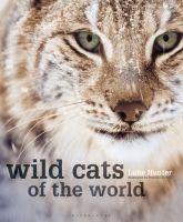 Wild cats of the world hardcover contains more than 400 full-color pictures Luke hunt Science Popularization