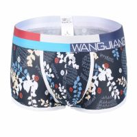 [COD] Mens underwear wholesale low waist pure Korean version slim flat boxer pouch function printed U men