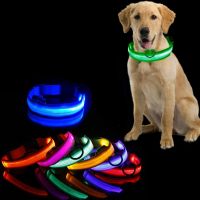 Led Dog Collar Anti-lost Dogs Puppies Night Supplies Products Accessories USB Charging/Battery