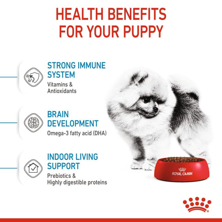 royal-canin-mini-indoor-puppy-โรยัล-คานิน-อาหารเม็ดลูกสุนัข-พันธุ์เล็ก-เลี้ยงในบ้าน-อายุ-2-10-เดือน-3-กก-อาหารเปียกลูกสุนัข-พันธุ์เล็ก-85-ก-x-12-ซอง