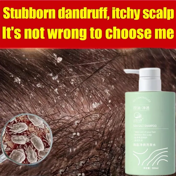 100 Original Amino Acid Sea Salt Shampoo Long Lasting Fragrance Anti