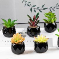 Artificial Succulent Plants Mini Decorative Faux Succulent Artificial Succulent Fake Simulation Plants With Black Pots