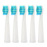 fit for Seago Electric Replacement Brush Heads Sonic Toothbrush Hygiene Care 899 for SG910 SG507 SG958 SG515 SG949 SG575