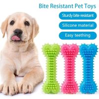 New Pet Toys For Small Dogs Ruer Resistance To Bite Dog Toy Teeth Cleaning Chew Training Toys Pet Supplies