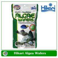 โปรโมชั่น Hikari Algae Wafer อาหารสำหรับปลาที่หากินตามพื้นตู้ 250 g. ราคาถูก อาหารปลา อาหารปลาดุก อาหารปลาทอง อาหารปลาคราฟ