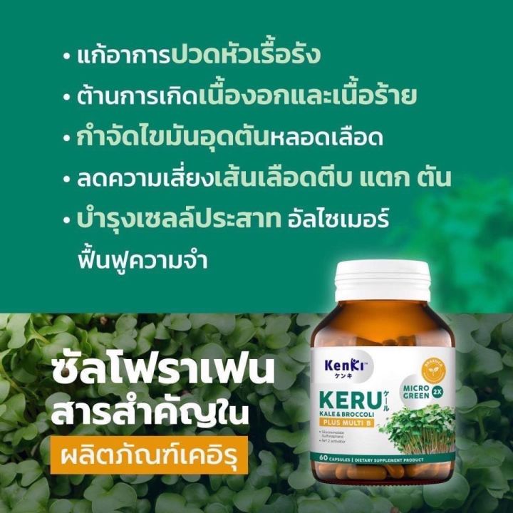 keru-เคอีรุ-ต้านเนื้อร้าย-กำจัดไขมันอุดตันหลอดเลือด-บำรุงเซลล์ประสาทและสมอง-แก้ปวดไมเกรน